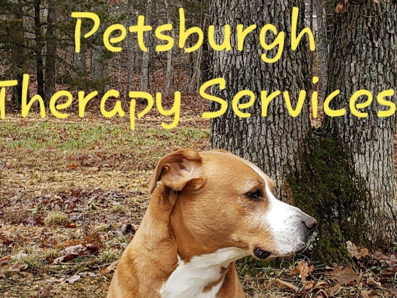 Sleep Diagnostic Services