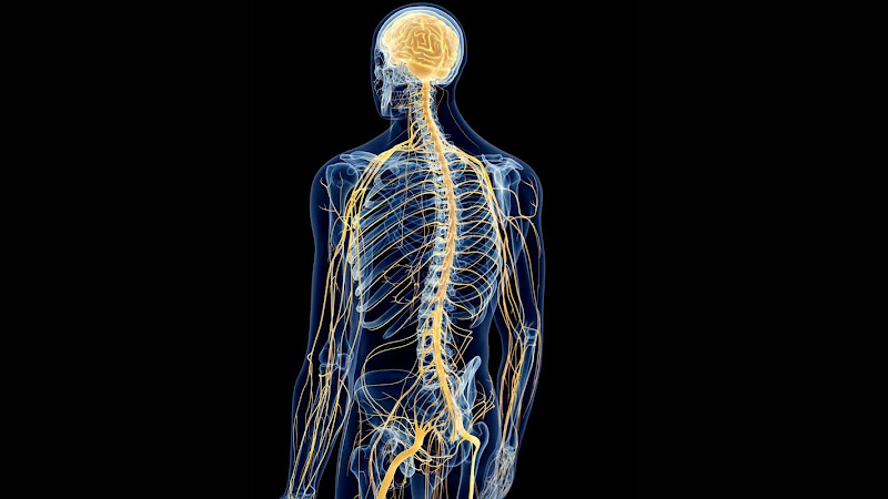 Advanced Neuroscience Clinic & Sleep Center
